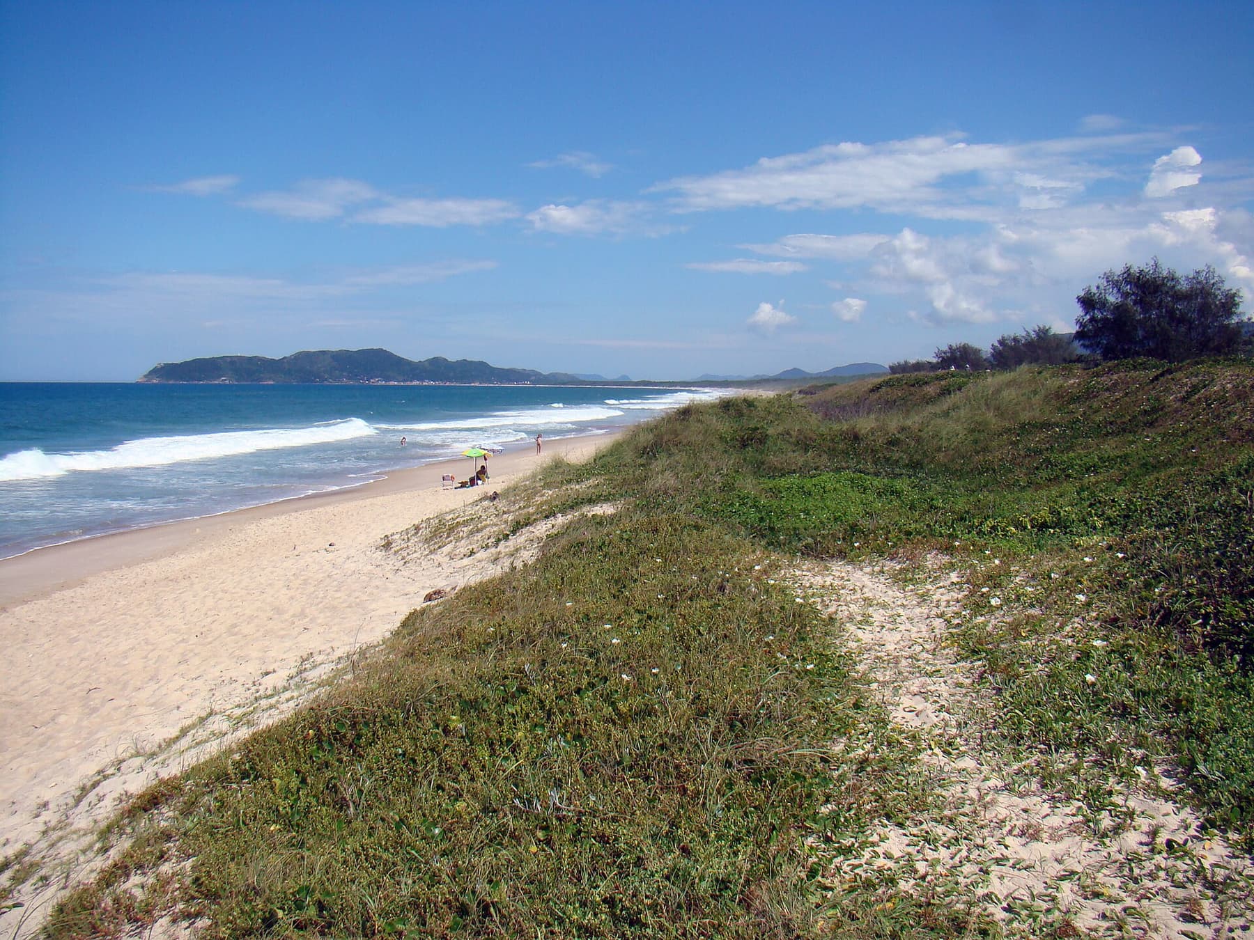 A beach in Mozambique