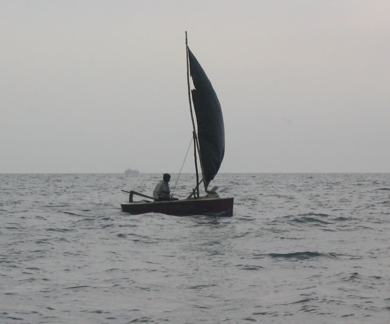 Dhow Trips