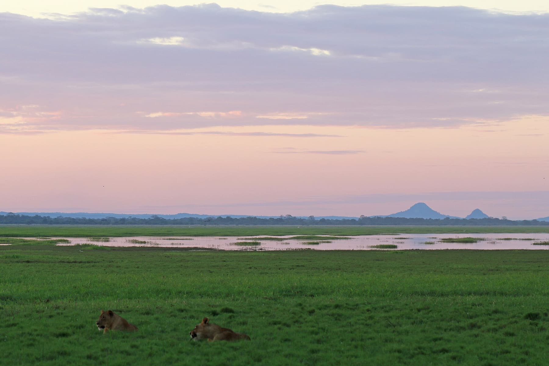 Mount Gorongosa rising above the Rift Valley, Sofala