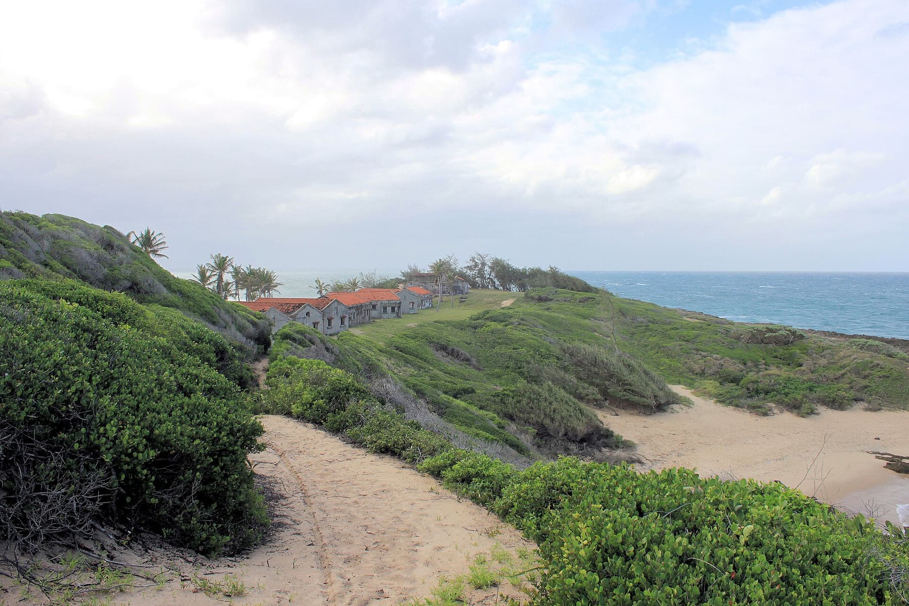 Palms and sand in Inhambane Province