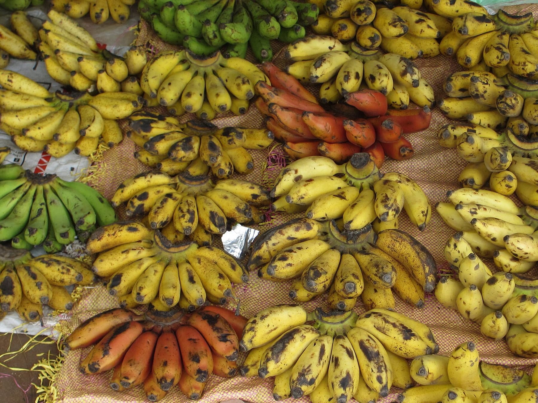 Market in Pemba, Cabo Delgado