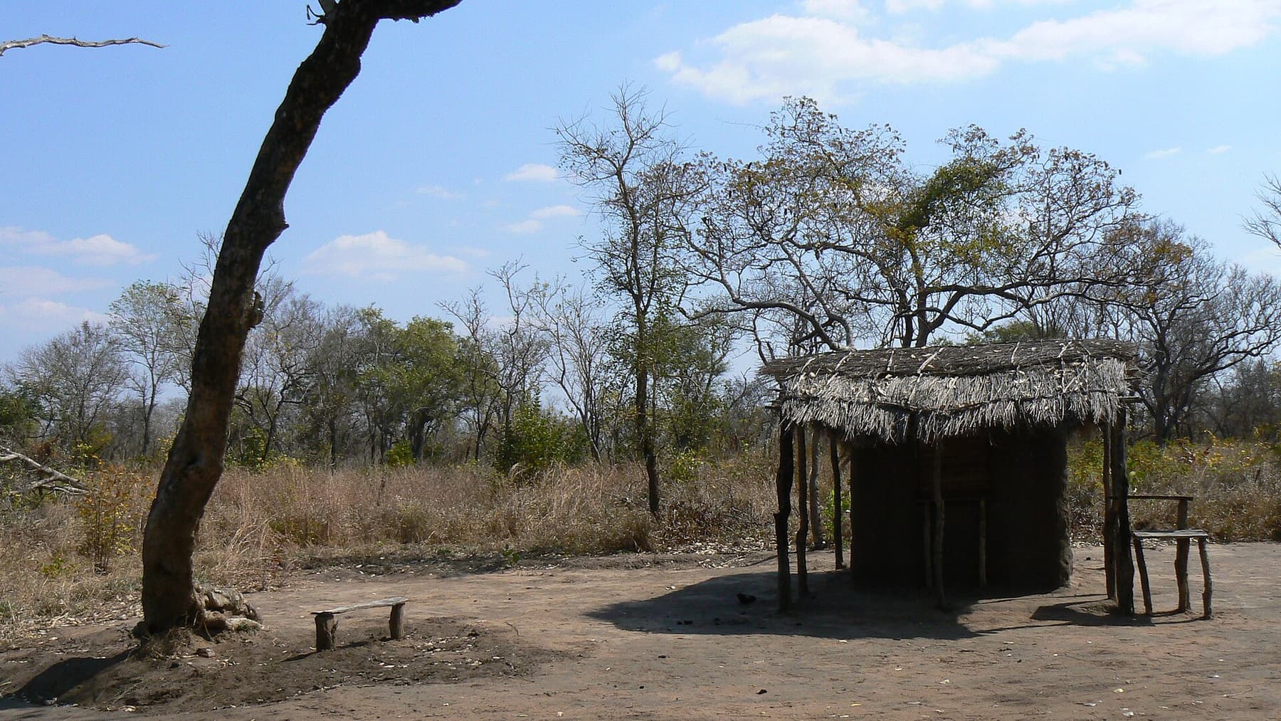 Roadside homestead, rural Mozambique