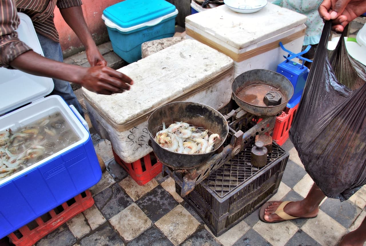 Gastronomy